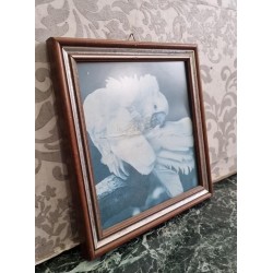       Κάδρο Granny's  109397