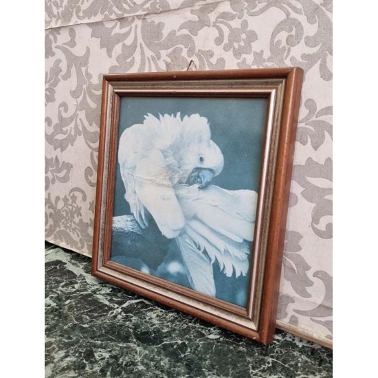       Κάδρο Granny's  109397