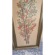       Καδράκι κέντημα  Granny's  106957