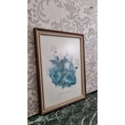       Κάδρο Granny's  109551