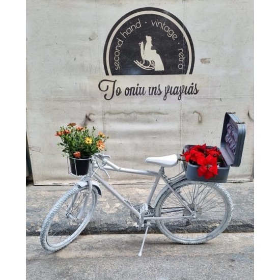 Ποδήλατο Granny's 110567