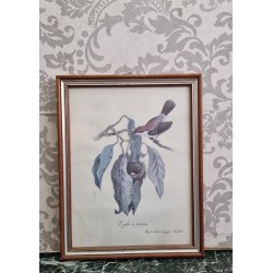       Κάδρο Granny's  109320