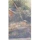       Κάδρο ζωγραφική Granny's  118945